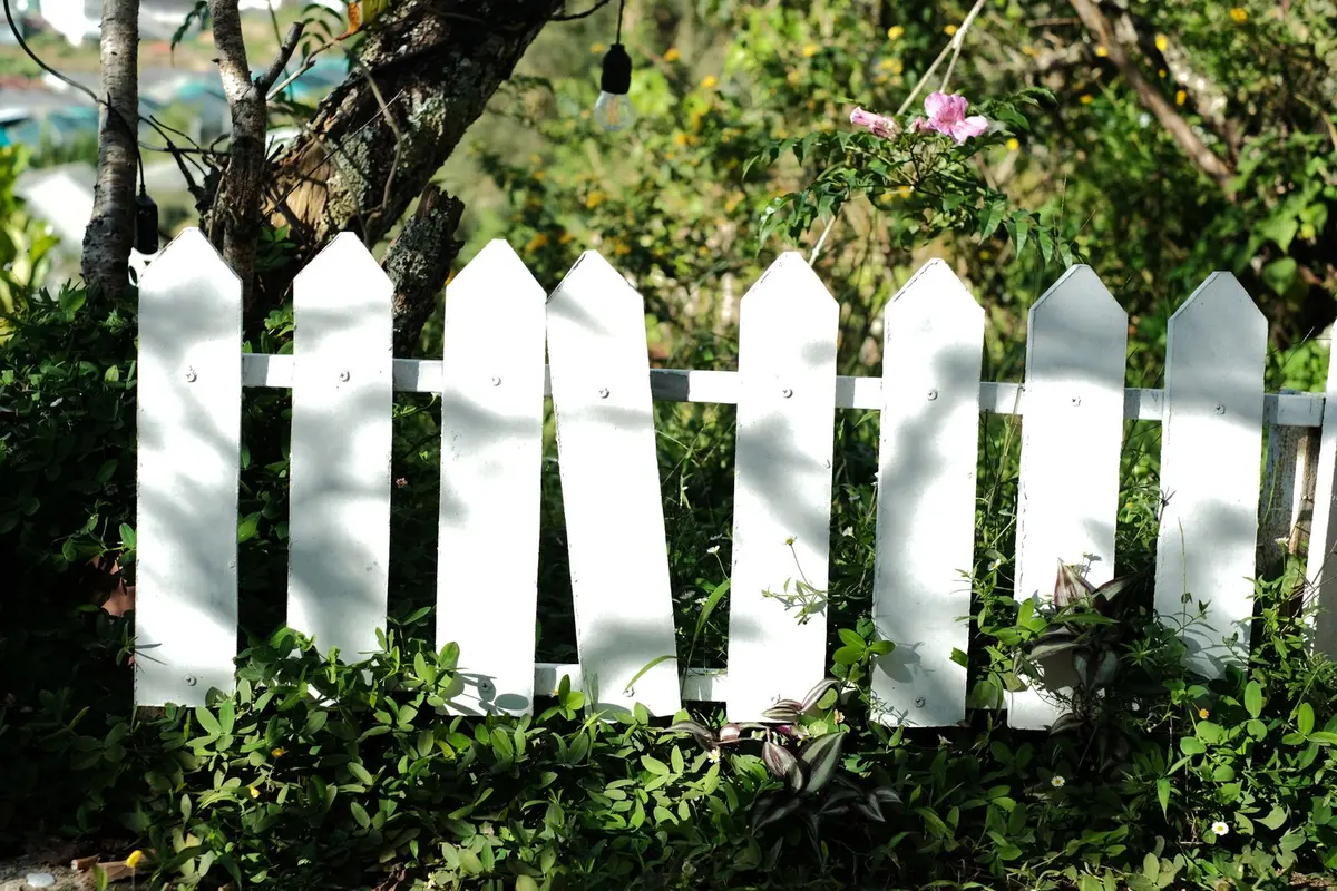 A white painted picket fence running in front of garden foliage